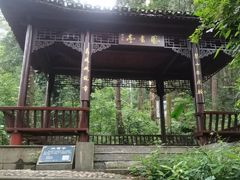 -三门江国家森林公园