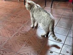 -不舍昼夜咖啡馆