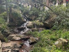 -莫干山风景区