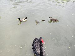 -长兴太湖图影湿地文化园