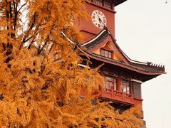 -四川大学(华西校区)