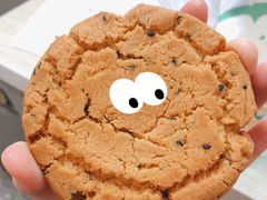 原味桃酥-泸溪河桃酥(欧尚店)