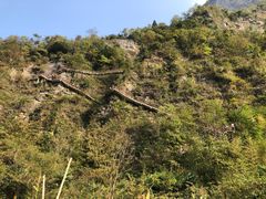 -鹿院坪生态旅游景区