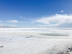 -青海茶卡盐湖文化旅游发展股份有限公司