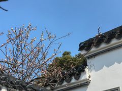 -无锡梅园公园