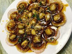蚝油扇贝-华春餐馆(鱼山路店)