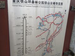 -铁山坪森林公园