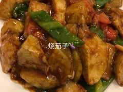 -凤齐羊肉烩面馆