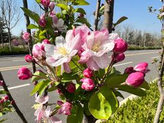 -济南国际园博园