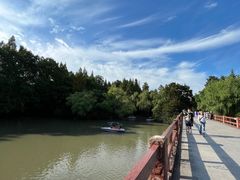 -上海滨江森林公园