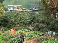 -原乡芦茨咖啡