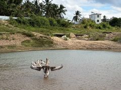 -海南热带雨林国家公园吊罗山景区
