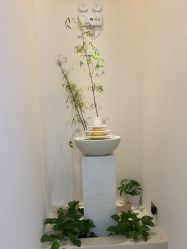 -悦色嘉丽科技美肤健康管理