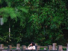 -重庆彩云湖湿地公园
