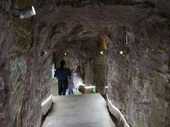 -中国西峡恐龙遗迹园