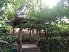 -华山儿童公园