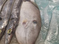 -三亚火车头万人海鲜广场