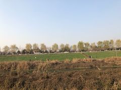 -洨河生态公园