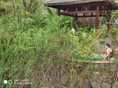 -咸宁万豪温泉谷度假区