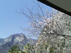 -圣莲山风景区