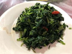 -照金特色农家乐