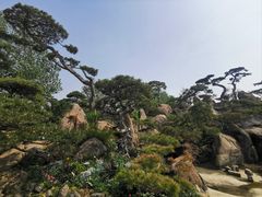 -罗红摄影艺术馆