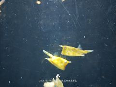 -海合安武汉极地海洋公园
