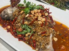 -杨氏青龙虾·羊蝎子(托乐嘉店)