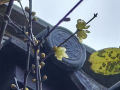 -钱王祠
