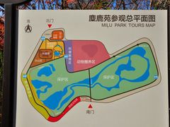-北京麋鹿生态实验中心