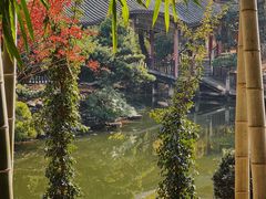 -华雅花园大酒店