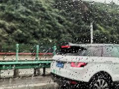 -牛背梁国家森林公园