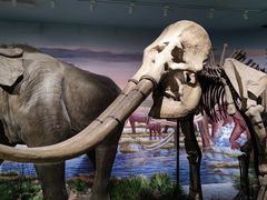 -湖南省地质博物馆