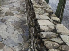 -MOJ coffee(瓯海泽雅水碓坑店)