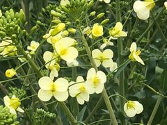 -中国天府农业博览园