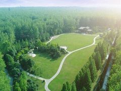 -合肥滨湖国家森林公园