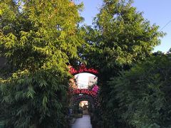 -The Grounds of Alexandria