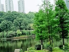 -重庆彩云湖湿地公园