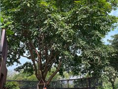 -悦哉·派对·草坪婚礼·围炉煮茶(三圣乡店)