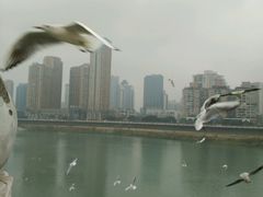 android_upload_pic-万达影城(涪城万达广场激光IMAX店)