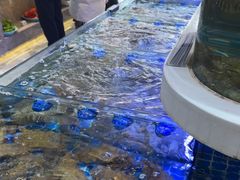 -大众海鲜(巨龙北路店)