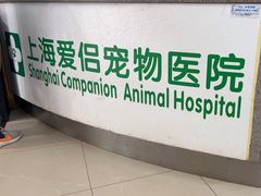 -爱侣宠医·鹦鹉专科·小型哺乳类·异宠专科(灵石路店)