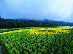 -广州市石门国家森林公园