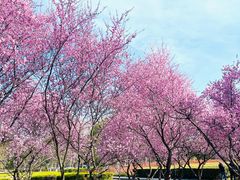 -白塘生态植物园