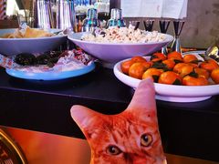 -Famous肥猫墨西哥音乐餐吧(五棵松华熙LIVE店)