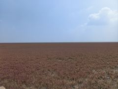 -红海滩国家风景廊道