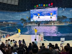 -泉城欧乐堡海洋极地世界