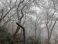 -紫金山索道-售票处
