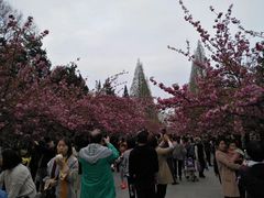 -中国科技大学-专家楼食堂