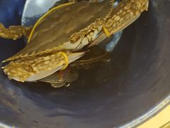 -澜悦港海鲜体验主题餐厅